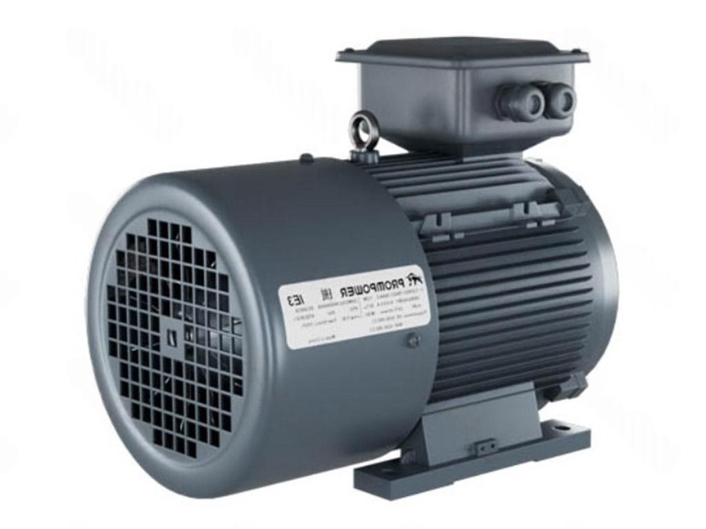 Электродвигатель 1LE9003-2AA53-3AA4 PROMPOWER