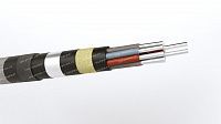 Кабель АКПсВБ 10х10